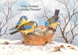 Animaux - Oiseaux - Mésange Bleue - Art Peinture - CPM - Voir Scans Recto-Verso - Oiseaux