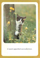 Animaux - Chats - CPM - Voir Scans Recto-Verso - Chats