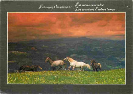 Animaux - Chevaux - Chevaux En Liberté - Coucher De Soleil - Carte Neuve - Voir Scans Recto Verso  - Horses