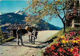 Animaux - Anes - Alpes - Fleurs - CPM - Voir Scans Recto-Verso - Donkeys