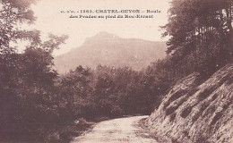 63103 01 117#0 - CHÂTEL GUYON * - ROUTE DES PRADES AU PIED DU ROC ERRANT - Châtel-Guyon