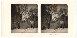 Stereo-Fotografie Wehrli A.G., Kilchberg, Dampfende Brünigbahn Im Schnee, Schmalspurbahn, Dampflok  - Stereoscoop