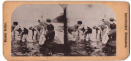 Stereo-Fotografie Frauen In Bademode Beim Planschen Im Knietiefen Wasser, Frolicking  - Stereoscoop