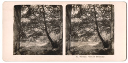 Stereo-Fotografie NPG, Thüringen, Partie Im Schwazatal Mit Alter Holzbrücke  - Fotos Estereoscópicas