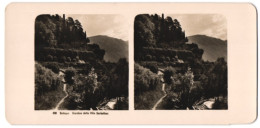 Stereo-Foto Wehrli A.G., Kilchberg-Zürich, Ansicht Bellagio, Giadine Della Villa Serbelloni  - Stereoscopio