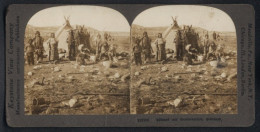 Stereo-Fotografie Keystone View Co., London, Ansicht Grönland, Eskimos / Inuits Vor Ihren Sommerzelten  - Fotos Estereoscópicas