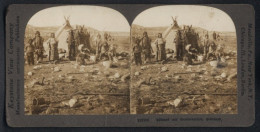 Stereo-Fotografie Keystone View Co., London, Ansicht Grönland, Eskimos / Inuits Vor Ihren Sommerzelten  - Stereo-Photographie