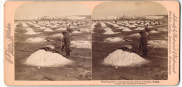 Stereo-Fotografie F. Jarvis, Washington D.C., Ansicht Solinen, Salzernte Auf Den Salzfeldern Russlands  - Stereoscoop