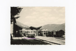 Photo Trains CP Autorails Gare Saint André Les Alpes 1961 Haute Provence 04 France Locomotive Train Autorail Pignes - Trenes