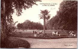41 CHATEAUVIEUX  - Carte Postale Ancienne [71894] - Other & Unclassified