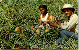 972 MARTINIQUE  - Carte Postale Ancienne [72472] - Autres & Non Classés