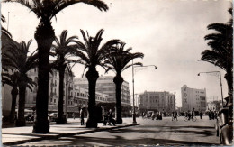 MAROC CASABLANCA  - Carte Postale Ancienne [72431] - Other & Unclassified