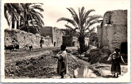 ALGERIE BISKRA  - Carte Postale Ancienne [72721] - Other & Unclassified