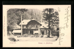 AK Ilsenburg, Gasthaus Prinzess Ilse  - Ilsenburg