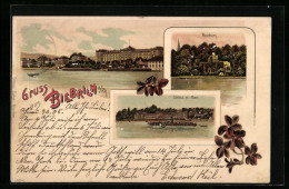 Lithographie Biebrich A. Rh., Moosburg, Schloss M. Rhein  - Autres & Non Classés