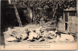 03 TYPES DU BOURBONNAIS  Carte Postale Ancienne[64905] - Autres & Non Classés