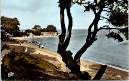 85 NOIRMOUTIER  Carte Postale Ancienne[64426] - Other & Unclassified