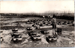 33 ARCACHON  Carte Postale Ancienne[65070] - Otros & Sin Clasificación