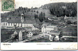 ALLEMAGNE  TRIBERG  Carte Postale Ancienne [65651] - Other & Unclassified