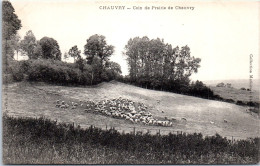 95 CHAUVRY  Carte Postale Ancienne [66521] - Other & Unclassified