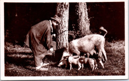 24 TYPES DU PERIGORD  Carte Postale Ancienne [66509] - Autres & Non Classés