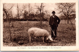 24 TYPES DU PERIGORD  Carte Postale Ancienne [66507] - Other & Unclassified