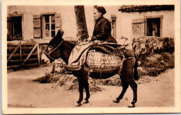 64 TYPES DU PAYS BASQUE  Carte Postale Ancienne [66383] - Other & Unclassified