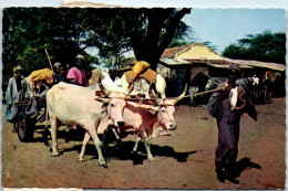 CAMEROUN DOUALA  Carte Postale Ancienne [66341] - Kameroen