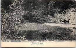 88 VAGNEY  Carte Postale Ancienne [66936] - Sonstige & Ohne Zuordnung