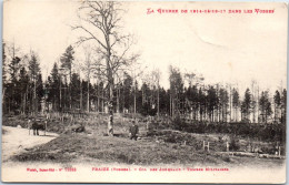 88 FRAIZE  Carte Postale Ancienne [66671] - Sonstige & Ohne Zuordnung