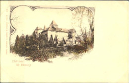 10580261 Blonay Schloss Blonay  Ungelaufen Ca. 1900 Blonay - Otros & Sin Clasificación