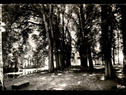 55 - LIGNY-EN-BARROIS - CPSM 9X14 - Ligny En Barrois