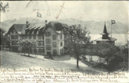 10580250 Vevey VD Vevey Hotel Des Alpes X 1910 Vevey - Sonstige & Ohne Zuordnung