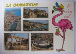 FRANCE - LA CAMARGUE - Vues - Other & Unclassified