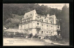 CPA Sèmouse, Le Château Des Praines  - Sonstige & Ohne Zuordnung