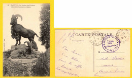 CPA NANTES - JARDIN DES PLANTES - LE MOUFLON - Tampon Cachet 120me D Infanterie 26e C.Dépôt MILITARIA - Nantes