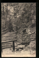 CPA Bruyères, Fontaine Miraculeuse Au Bas De La Chapelle De La Roche  - Sonstige & Ohne Zuordnung