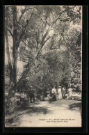 CPA Martigny-les-Bains, Une Allee Dans Le Parc  - Bains Les Bains