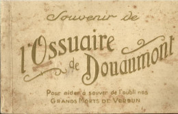 3799 Carnet De 20 CPA - L'Ossuaire De Douaumont - Cartes En Excellent état à L'intérieur - Weltkrieg 1914-18