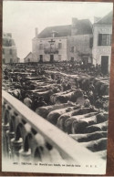 Cpa 24 Dordogne, THENON, Le Marché Aux Boeufs, Un Jour De Foire, Animée, Enseignes Restaurant, Café, éd O.D.P 4015 - Autres & Non Classés