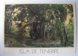 ESPAGNE - ISLAS CANARIAS - TENERIFE - PUERTO DE LA CRUZ - Jardin Botanico - Tenerife