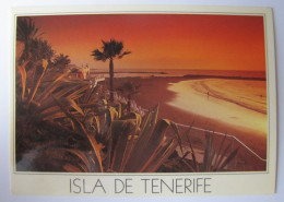 ESPAGNE - ISLAS CANARIAS - TENERIFE - PLAYA DE LAS AMERICAS - Tenerife