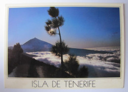 ESPAGNE - ISLAS CANARIAS - TENERIFE - Mirador De Orduno - Tenerife