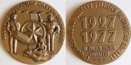 Médaille Folklore Provençal Roudelet Felibren Château Gombert Marseille 1977, Numérotée - Otros & Sin Clasificación