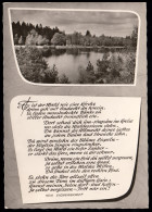 Argenthal / Hunsrück: Haus Am Waldsee, Gedicht Von Eichendorf, SSt ST. GOAR 1962 - Autres & Non Classés