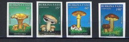 Burkina Faso 1990 Mushrooms Champignons Imperf  MNH - Pilze