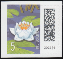 3651IV Welt Der Briefe: Seebriefrose 5 Cent, Selbstklebend Aus FB 113IV, ** - Unused Stamps