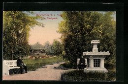 AK Reichenbach I. V., Im Stadtpark  - Reichenbach I. Vogtl.