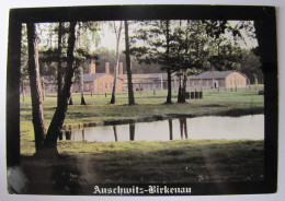 POLOGNE - AUSWICH - Vue Du Camp De Birkenau - Pologne