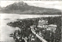 10579479 Weggis Vierwaldstaettersee Weggis Hotel Albana Fliegeraufnahme  X 1952  - Autres & Non Classés